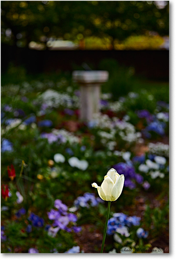 Kenmore_F'Burg_2018May_4DXB4716