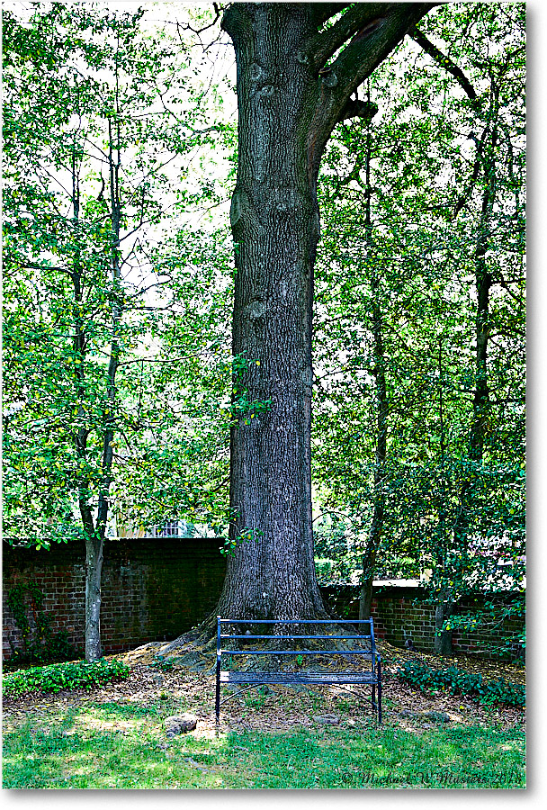 Kenmore_F'Burg_2018May_5D5A0753