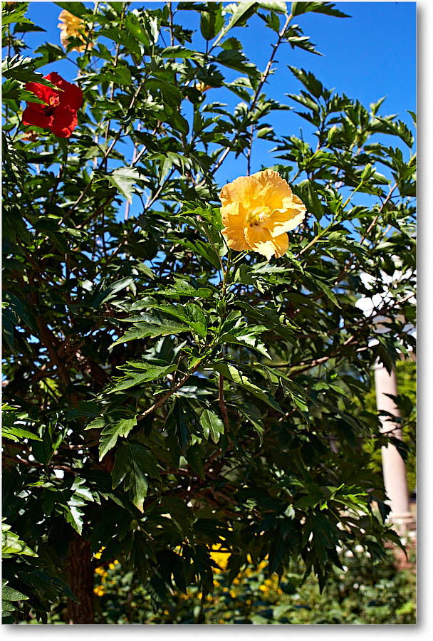 Monticello_2016Sep_2DXB3511 copy