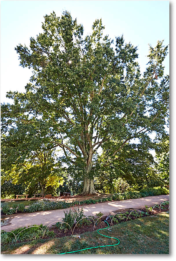 Monticello_2016Sep_2DXB3520 copy