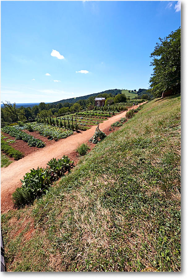 Monticello_2016Sep_2DXB3531 copy