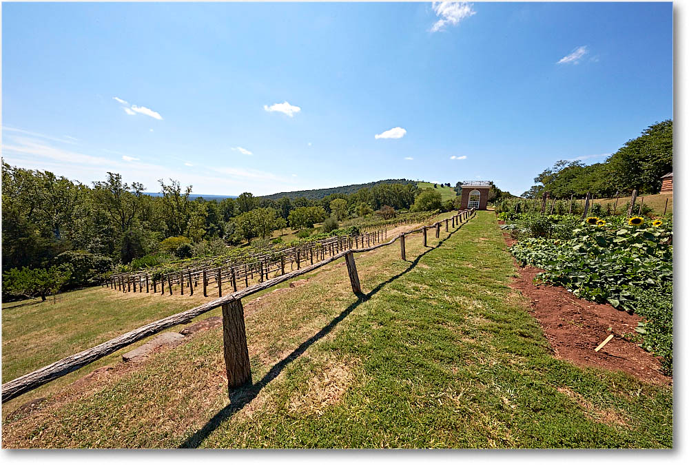Monticello_2016Sep_2DXB3540 copy