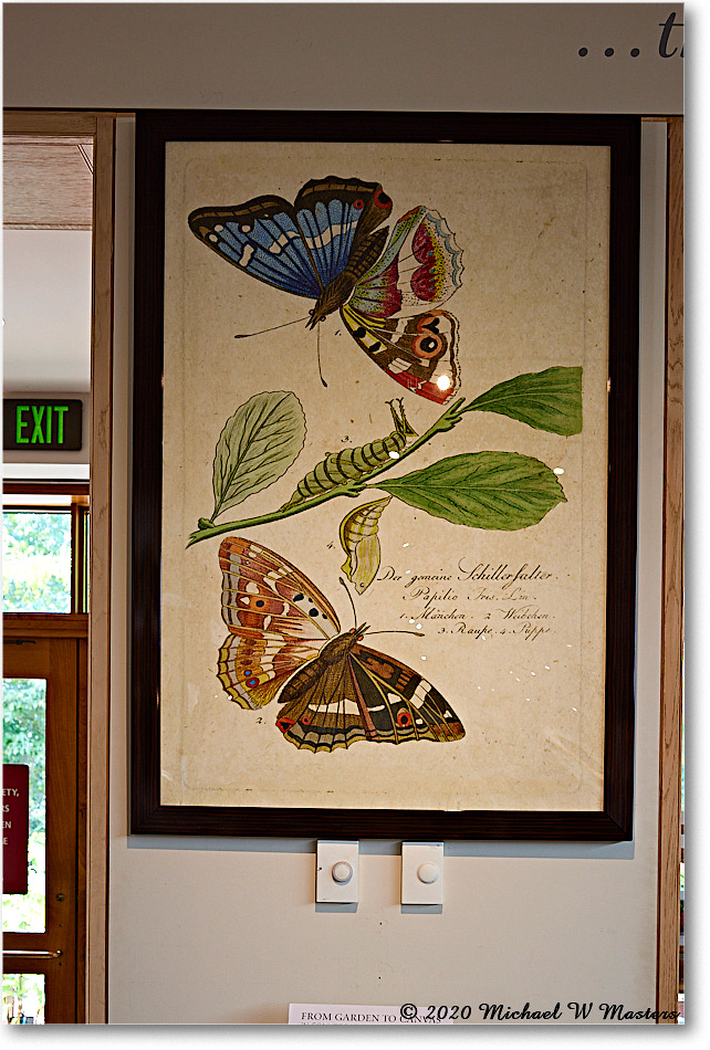 Monticello_2020Sep_R5A01390 copy