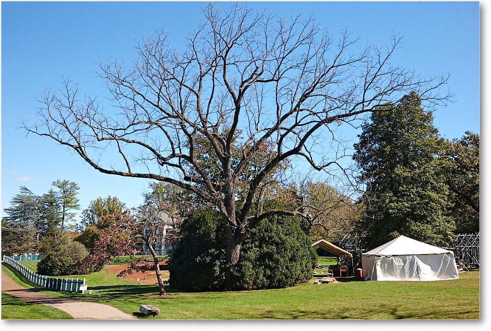 Lawn-Montpelier-2014Oct_S3A8264