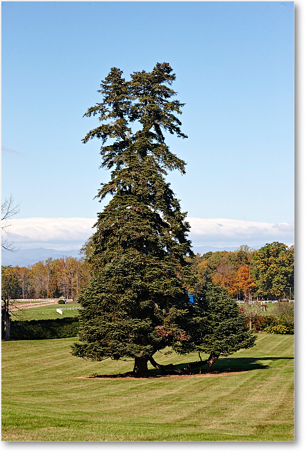 Lawn-Montpelier-2014Oct_S3A8265