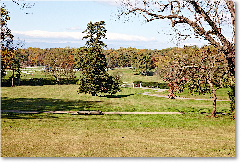 Lawn-Montpelier-2014Oct_S3A8330 copy