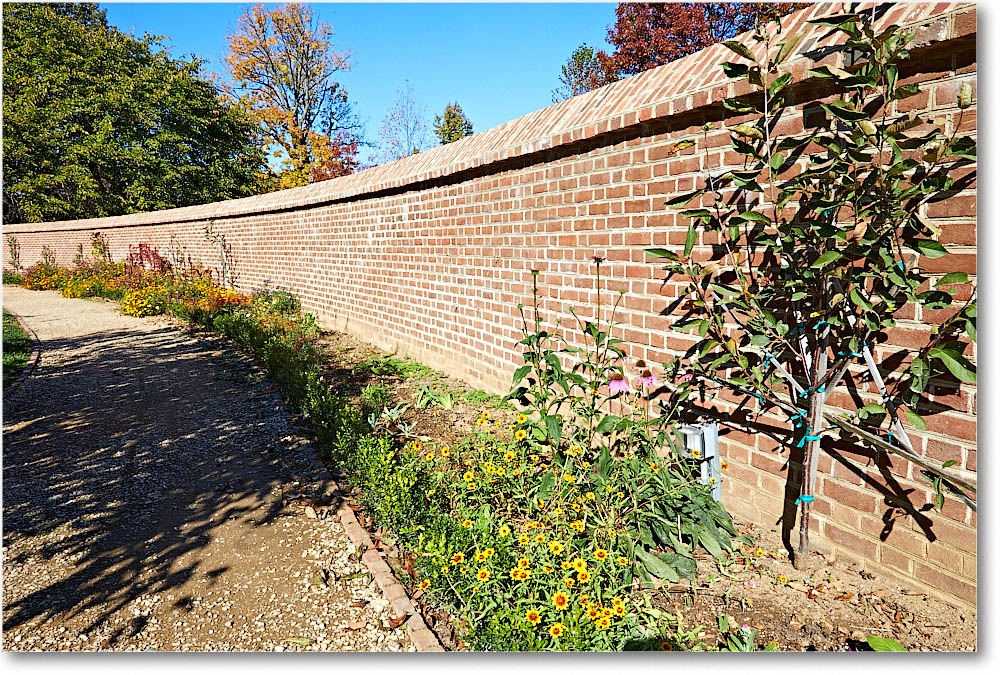 MtVernon_2016Nov_5D4A0341 copy