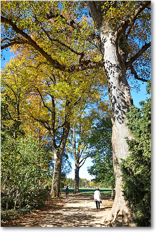 MtVernon_2016Nov_5D4A0379 copy