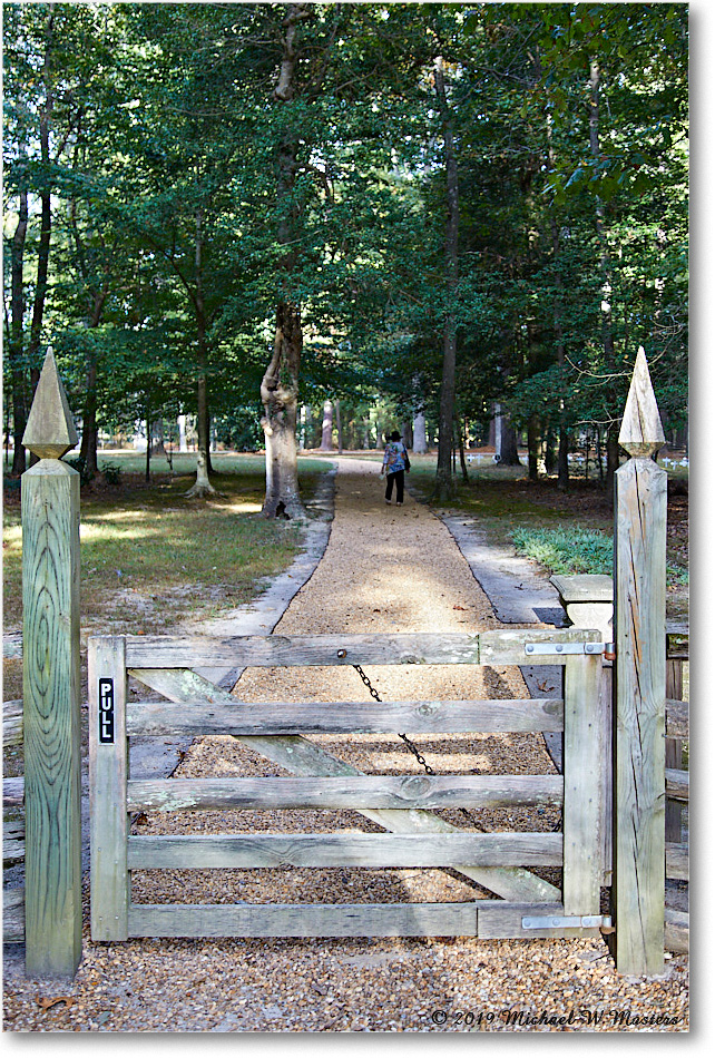 SherwoodForest_2019Oct_5D4A1938 copy