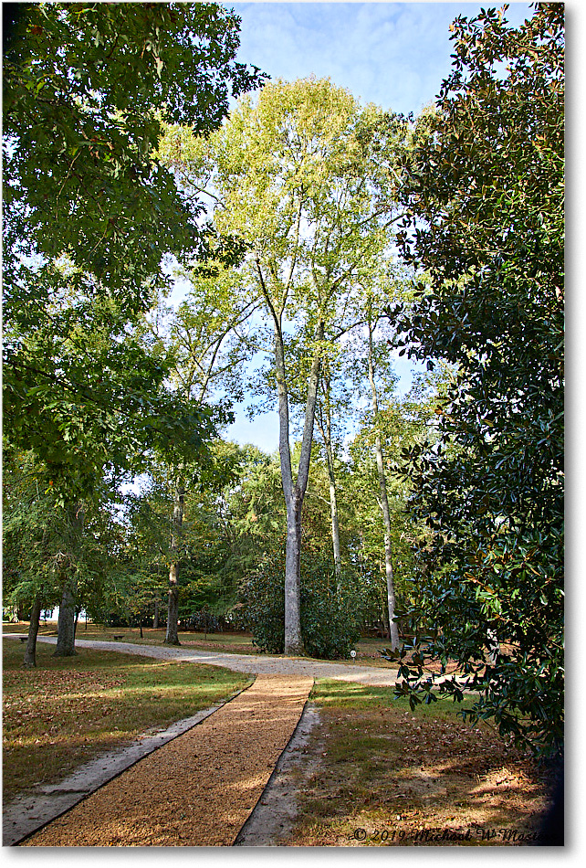 SherwoodForest_2019Oct_5D4A1940 copy