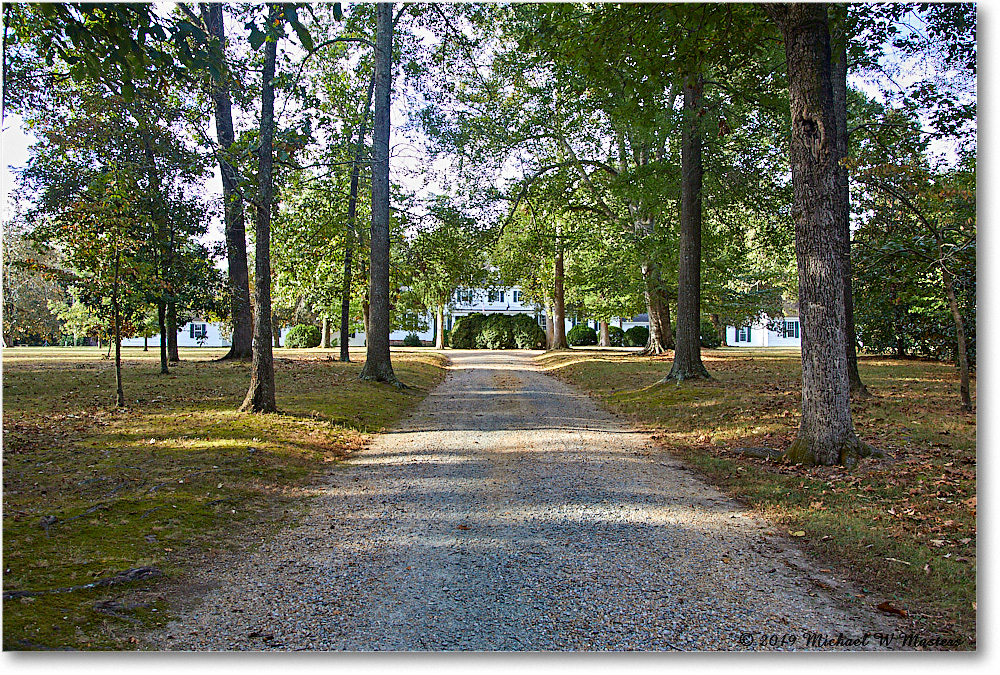 SherwoodForest_2019Oct_5D4A1941 copy