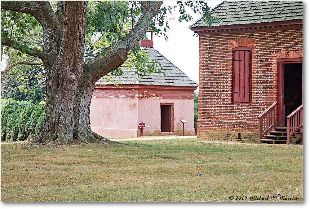 ShirleyPlantation_2019Oct_5D4A2109 copy