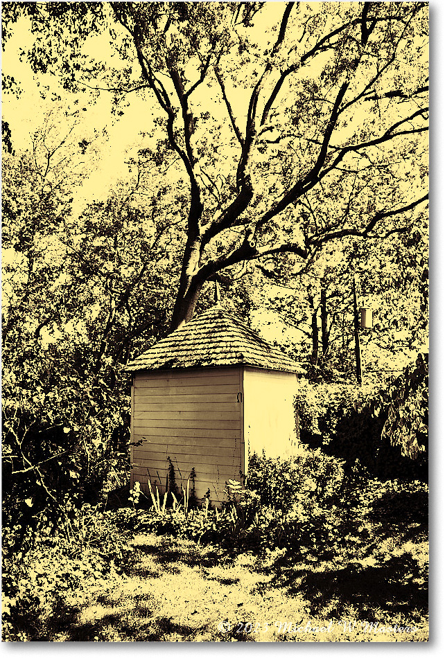 Dependency_StJamesHouse_2023Aug_R5B12833 copy