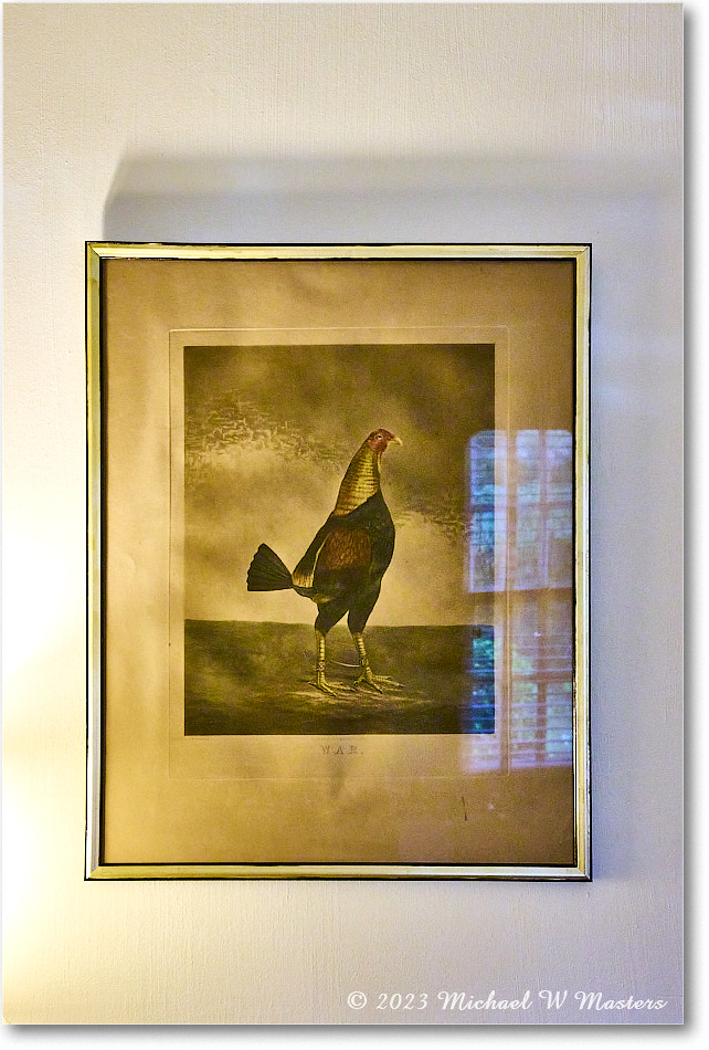 RoosterArt_DiningRoom_StJamesHouse_2023Aug_R5B12722 copy