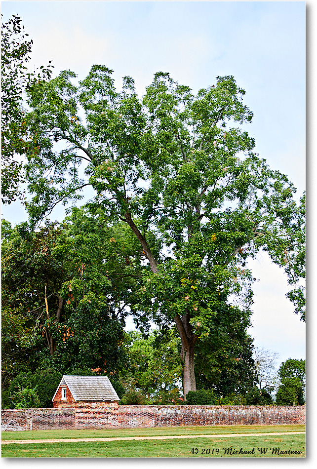 WestoverPlantation_2019Oct_5D5A1693 copy