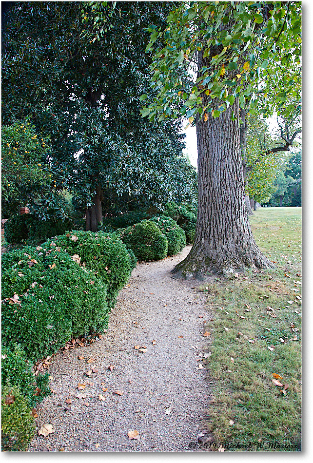 WestoverPlantation_2019Oct_5D4A1998 copy