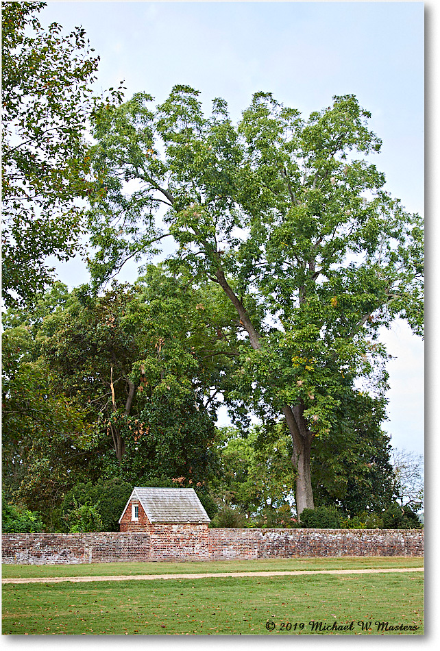 WestoverPlantation_2019Oct_5D4A2029 copy