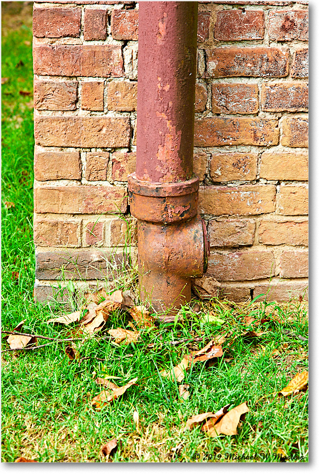 WestoverPlantation_2019Oct_5D4A2033 copy