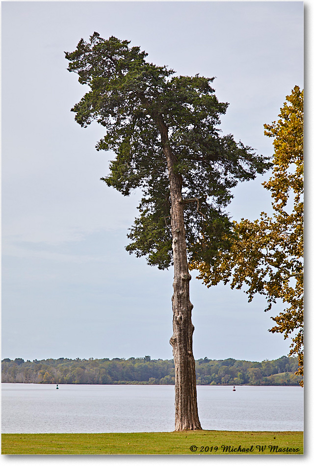 WestoverPlantation_2019Oct_5D4A2035 copy