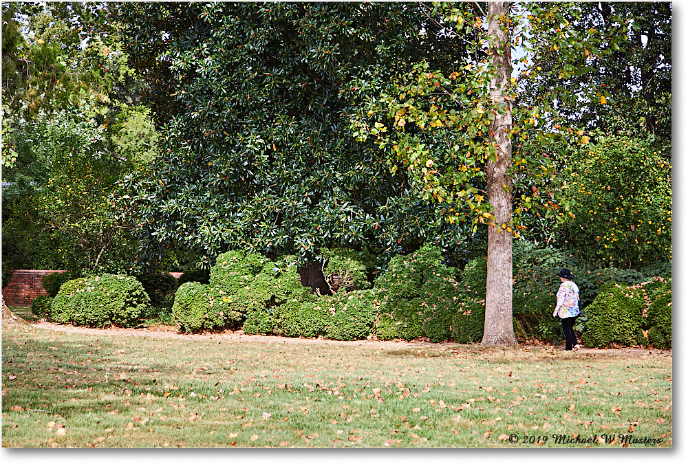 WestoverPlantation_2019Oct_5D4A2042 copy