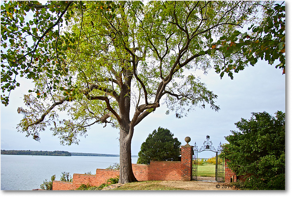 WestoverPlantation_2019Oct_5D4A2047 copy