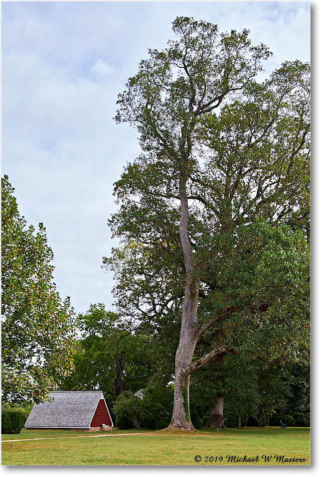 WestoverPlantation_2019Oct_5D5A1676 copy
