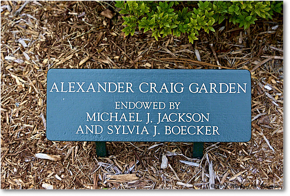AlexanderCraigGarden_Williamsburg_2021Jul_R5B04081 copy