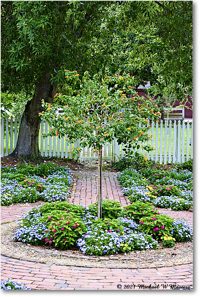 AlexanderCraigGarden_Williamsburg_2021Jul_R5B04085 copy