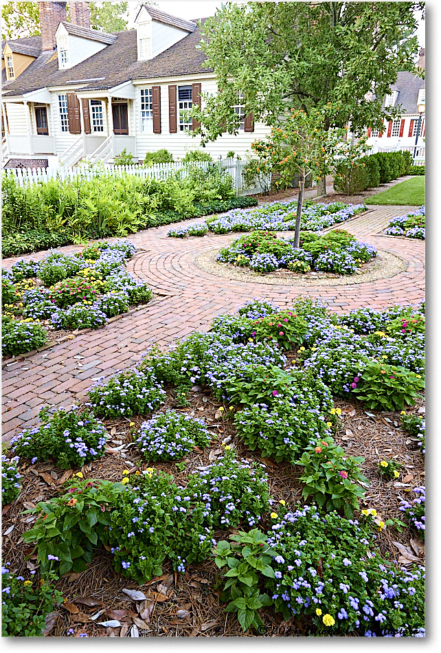 AlexanderCraigGarden_Williamsburg_2021Jul_R5B04087 copy