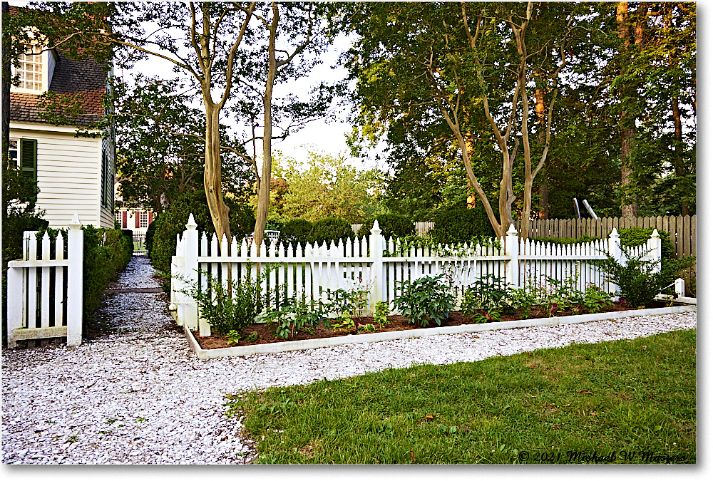 DrBarraudGarden_Williamsburg_2021Jul_R5B03938 copy