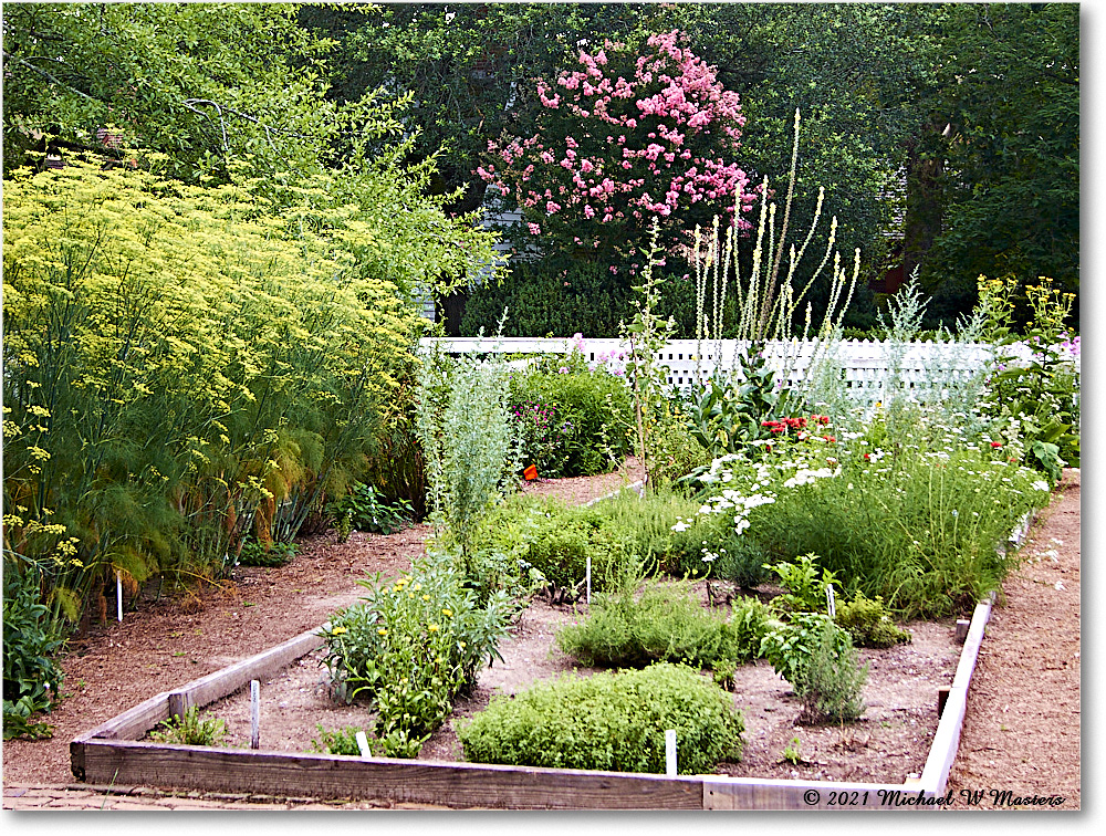 GeorgeReidGarden_Williamsburg_2021Jul_IMG_4245 copy