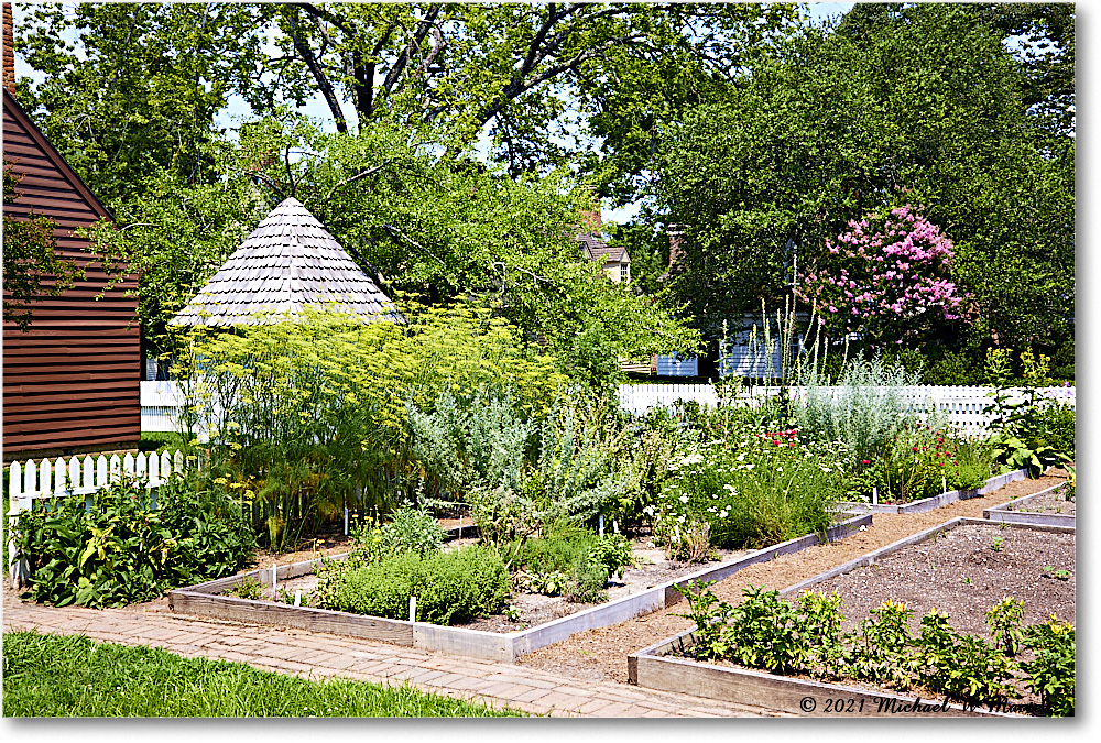 GeorgeReidGarden_Williamsburg_2021Jul_R5B03912 copy