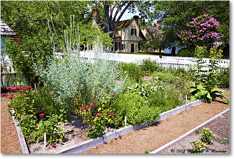 GeorgeReidGarden_Williamsburg_2021Jul_R5B03914 copy