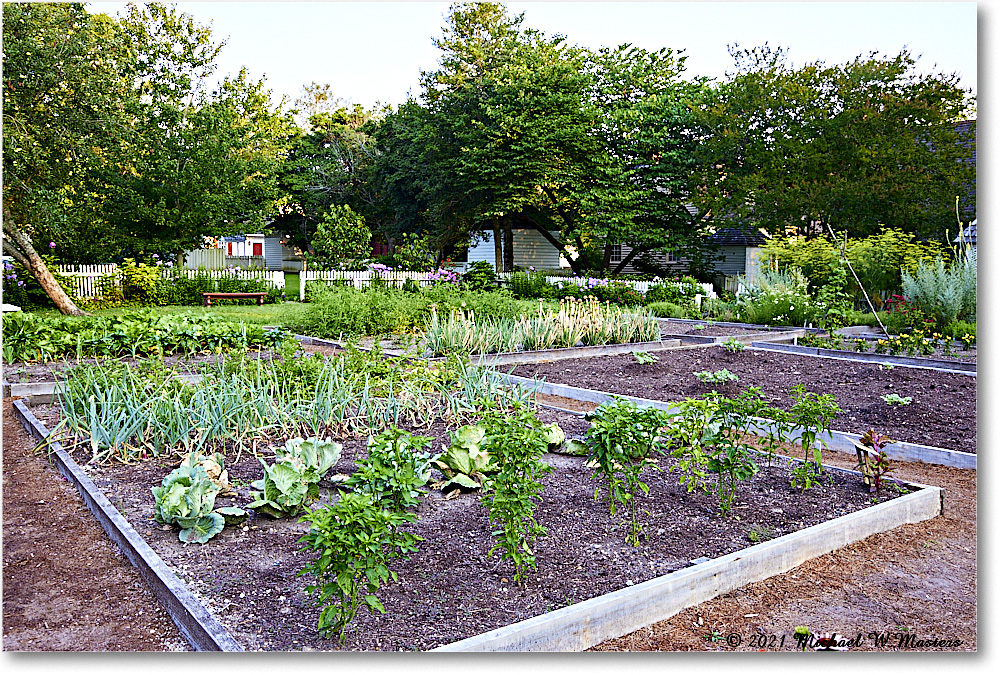 GeorgeReidGarden_Williamsburg_2021Jul_R5B03974 copy