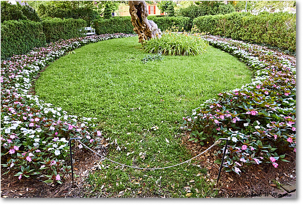 OrlandoJonesGarden_Williamsburg_2021Jul_R5A05164 copy