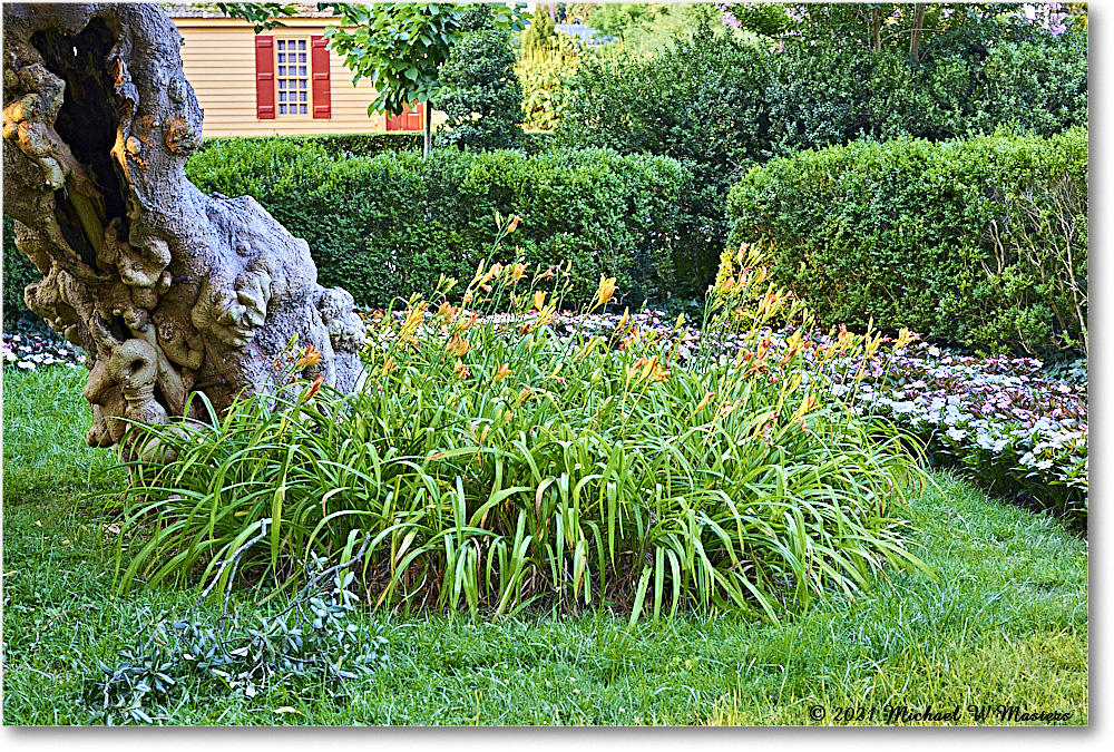 OrlandoJonesGarden_Williamsburg_2021Jul_R5B03966 copy