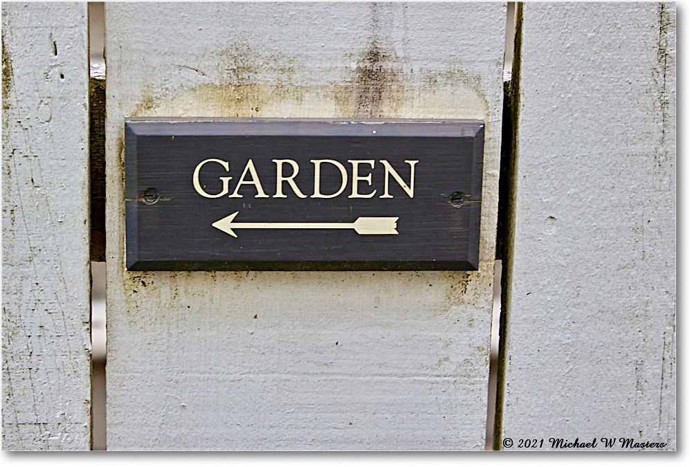 Pasteur&GaltApothecaryGarden_Williamsburg_2021Jul_R5B04089 copy
