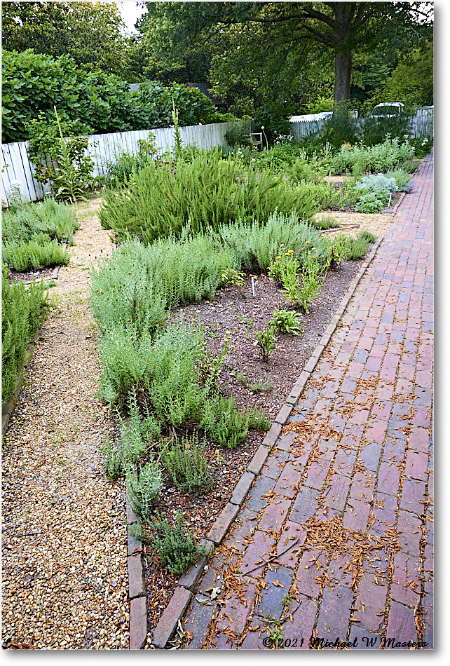 Pasteur&GaltApothecaryGarden_Williamsburg_2021Jul_R5B04092 copy