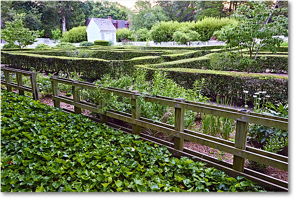PrentisHouseGarden_Williamsburg_2021Jul_R5B04080 copy