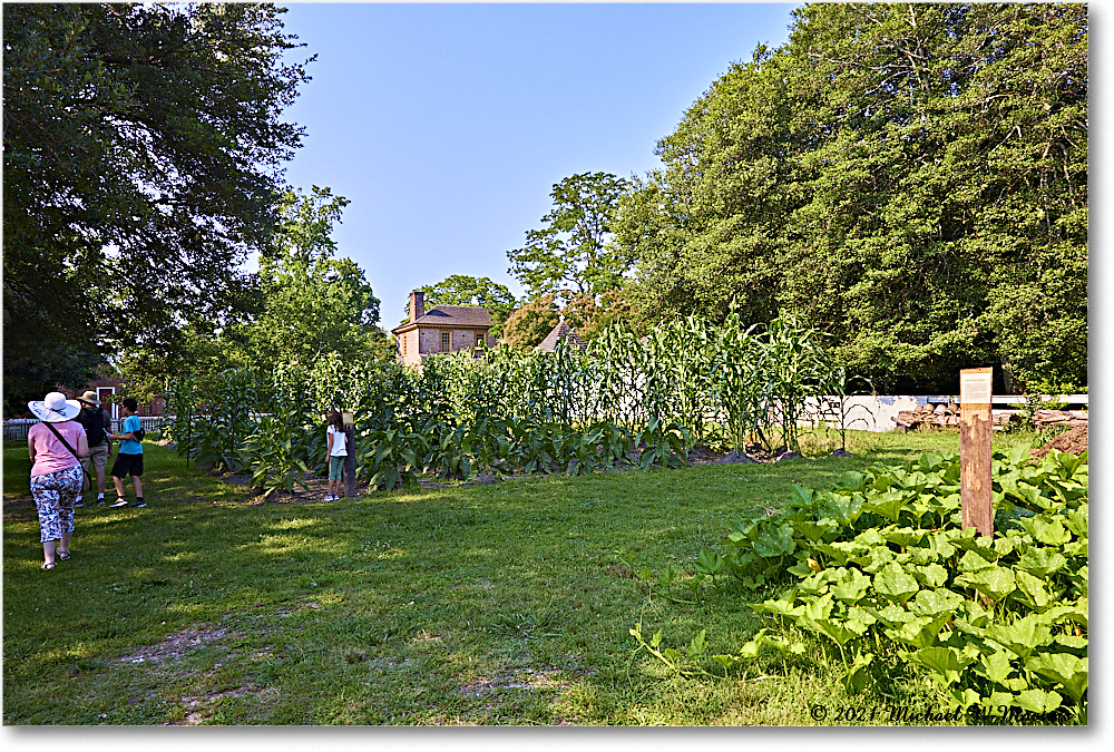 PrentisStorePasture_Williamsburg_2021Jul_R5B03989 copy