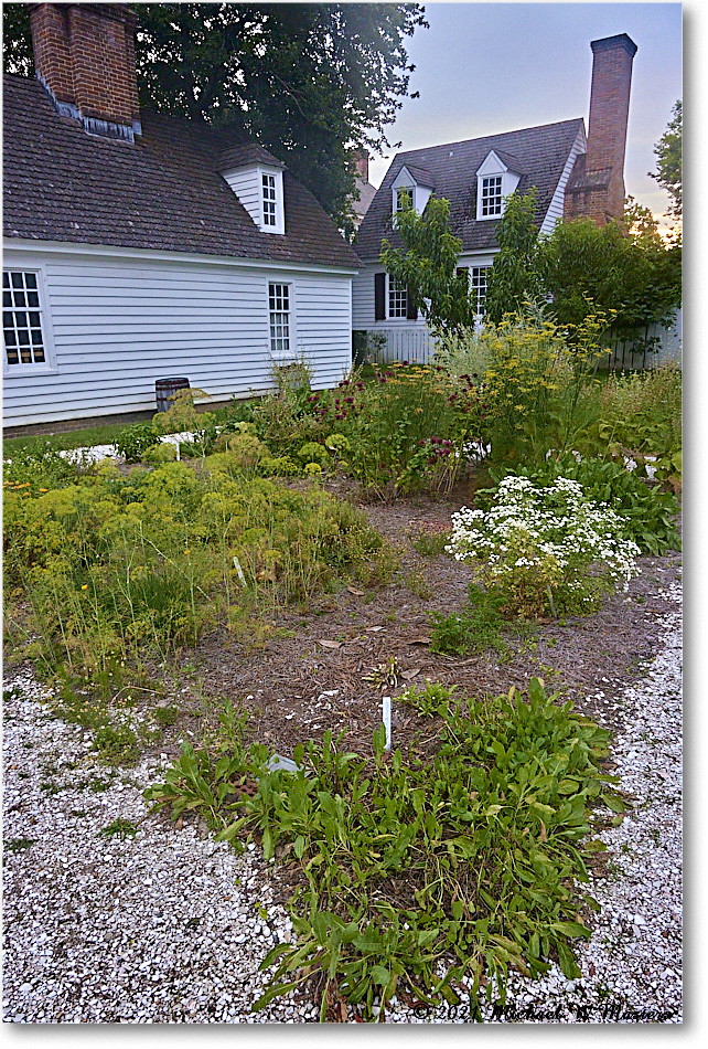 WetherburnTavernGarden_Williamsburg_2021Jul_R5B04076 copy