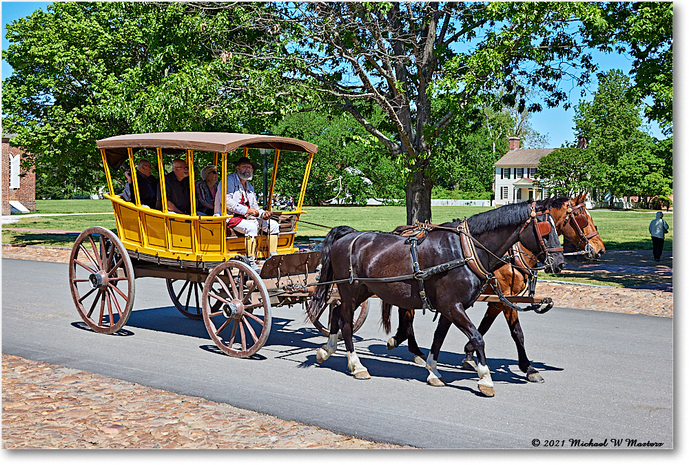 Williamsburg_Carriage_2021May_R5A02842 copy