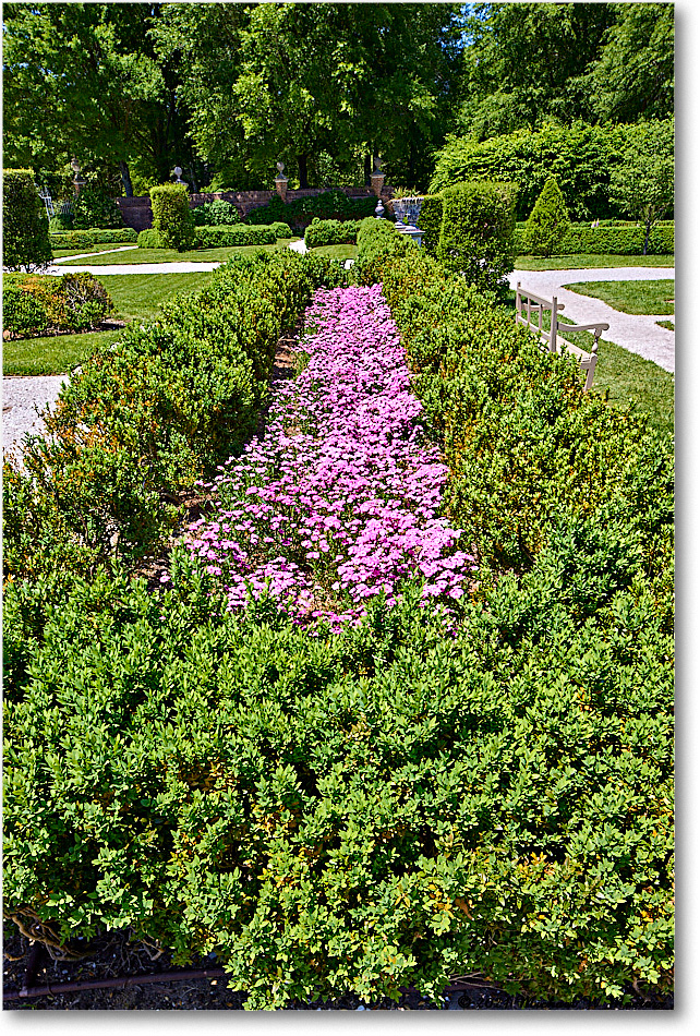 Williamsburg_GovernorsPalace_2021May_R5B01106 copy