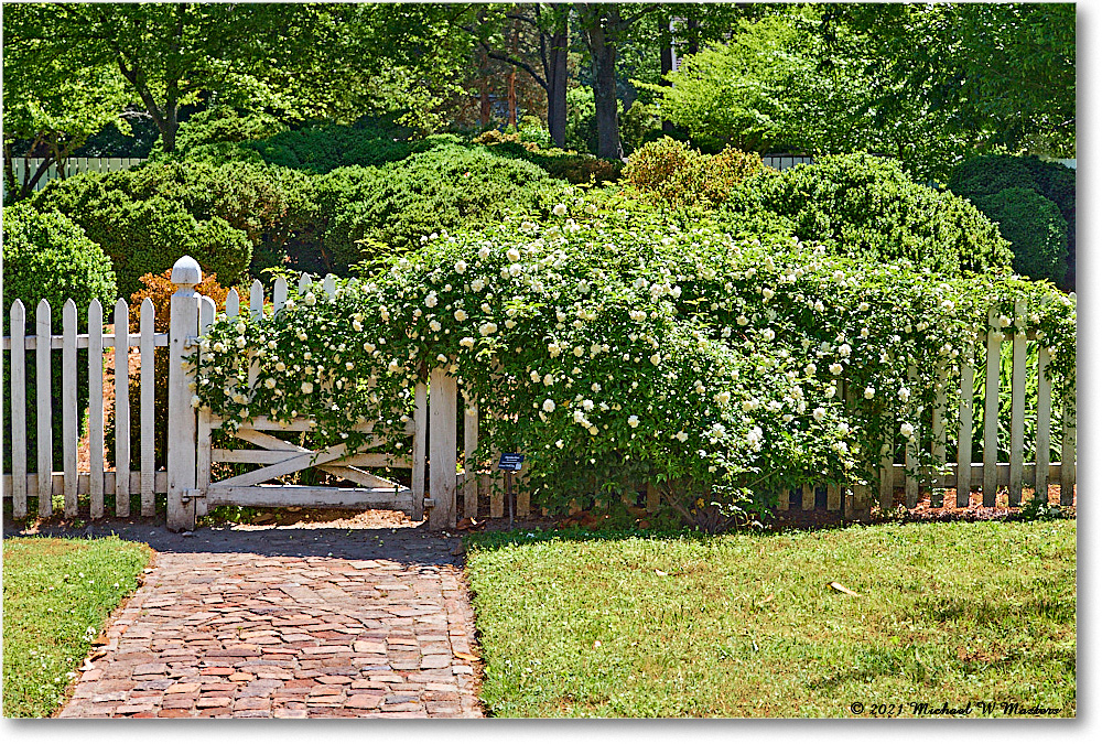 Williamsburg_ThomasEverardHouse_2021May_R5A02858 copy