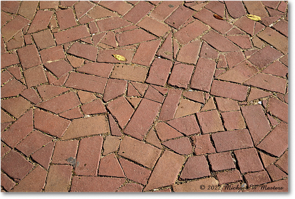 Francis-BlairSidewalk_Williamsburg_2022May_R5B07867 copy