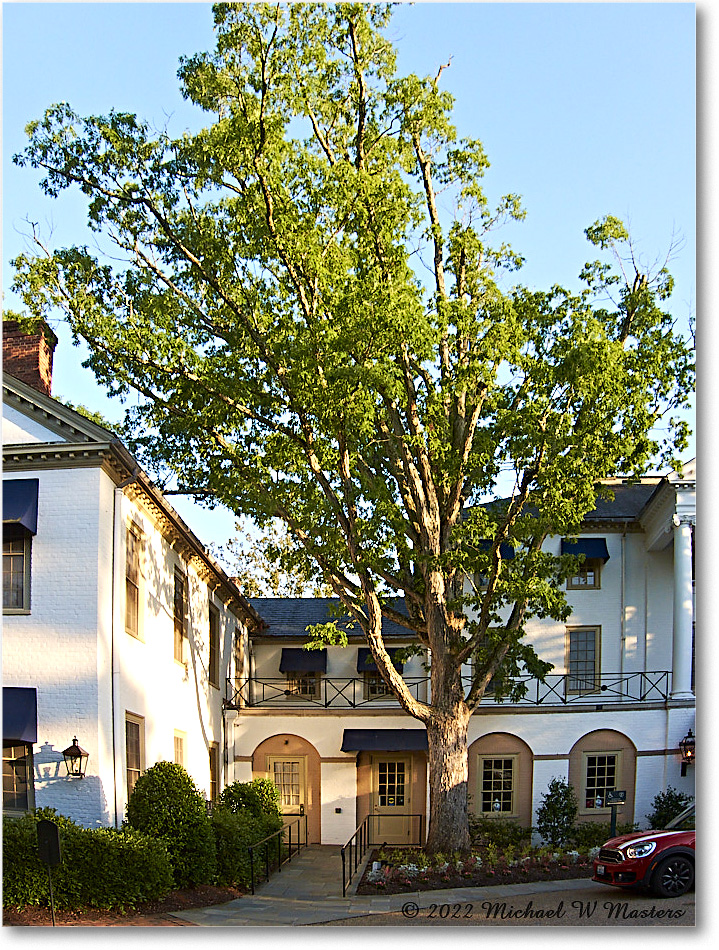 Inn_Williamsburg_2022May_S90_4353 copy