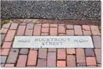 BucktroutStreetMarker_Williamsburg_2023May_R5A20325 copy