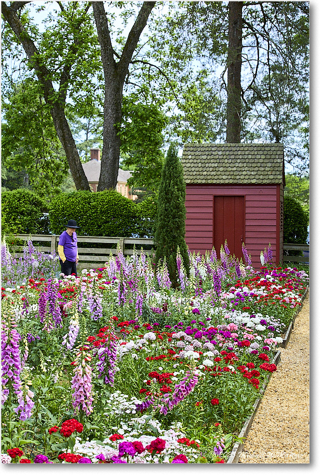 LightfootTenementGarden_Williamsburg_2025May_R5C00380