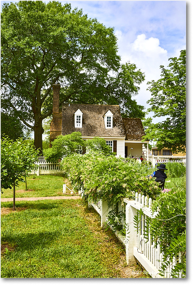TaliaferroColeArbor_Williamsburg_2025May_R5A25081-83_HDR