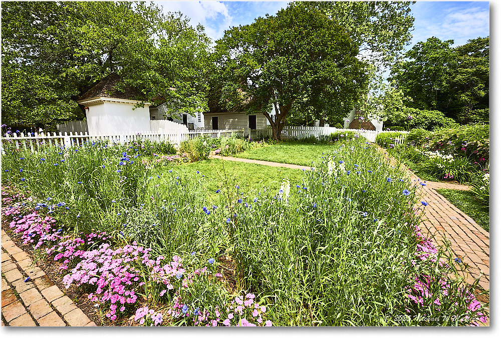 TaliaferroColeGarden_Williamsburg_2025May_R5A24959